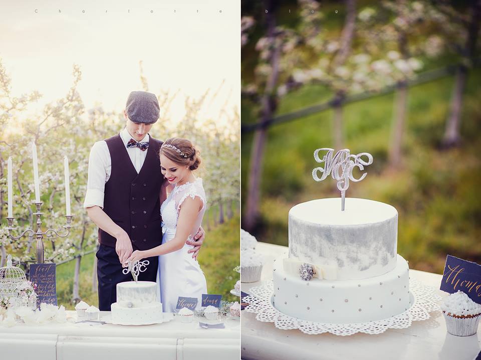 11107743_938107056233685_5740343590489029346_n